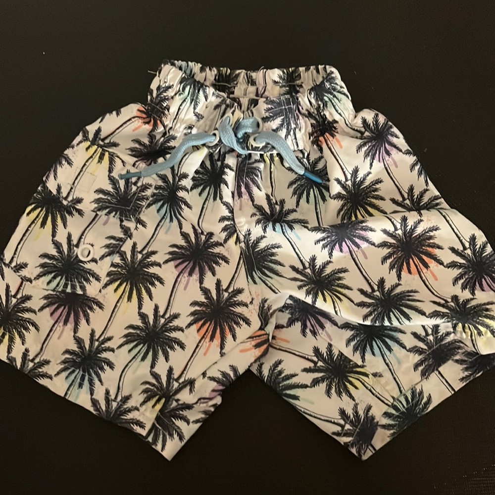 Mish boys size 2 boys bathing suit with mesh lining.